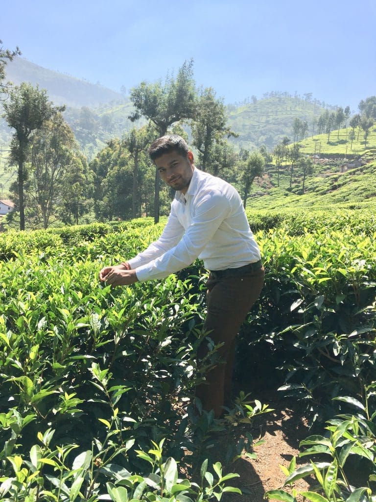 Tea Tourism much more than the beautiful tea gardens of Darjeeling Today’s Traveller Travel