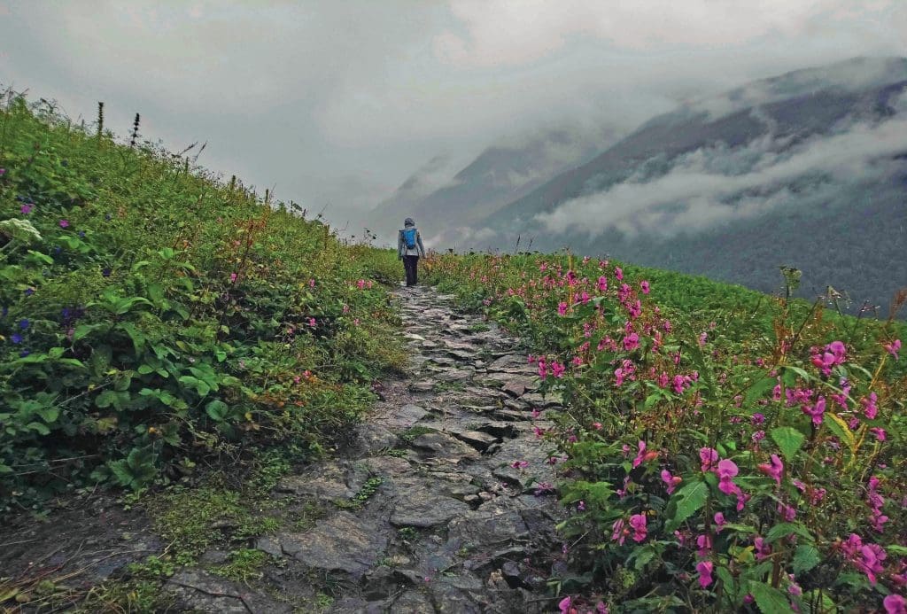 Wellness destinations in India - Valley of flowers, Uttrakhand