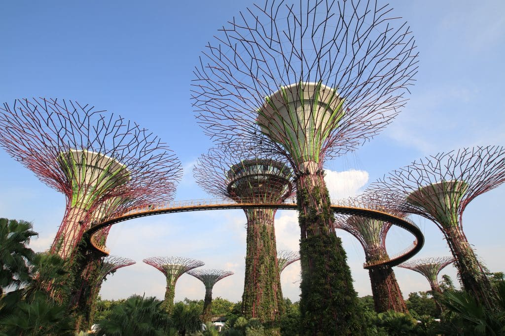 Garden by the bay in Singapore