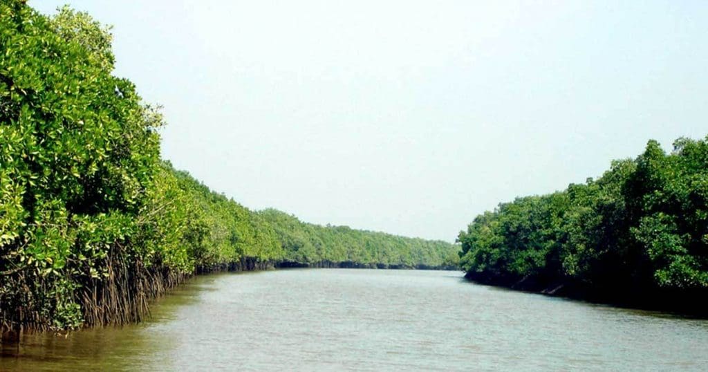 wildlife sanctuaries in Odisha