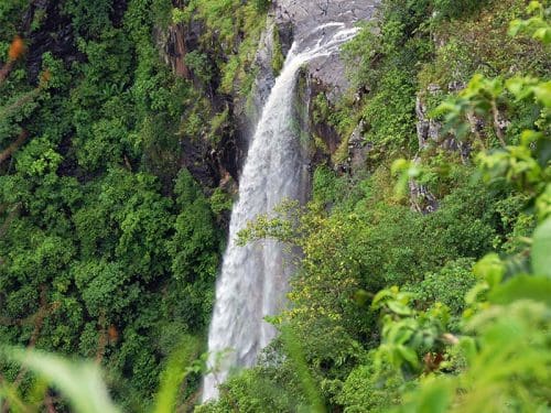 6 famous wildlife sanctuaries in Odisha 6 wildlife sanctuaries in Odisha