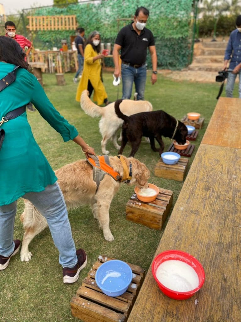 10 Novotel Hyderabad Airport organizes “The Paw Walk”- a unique initiative