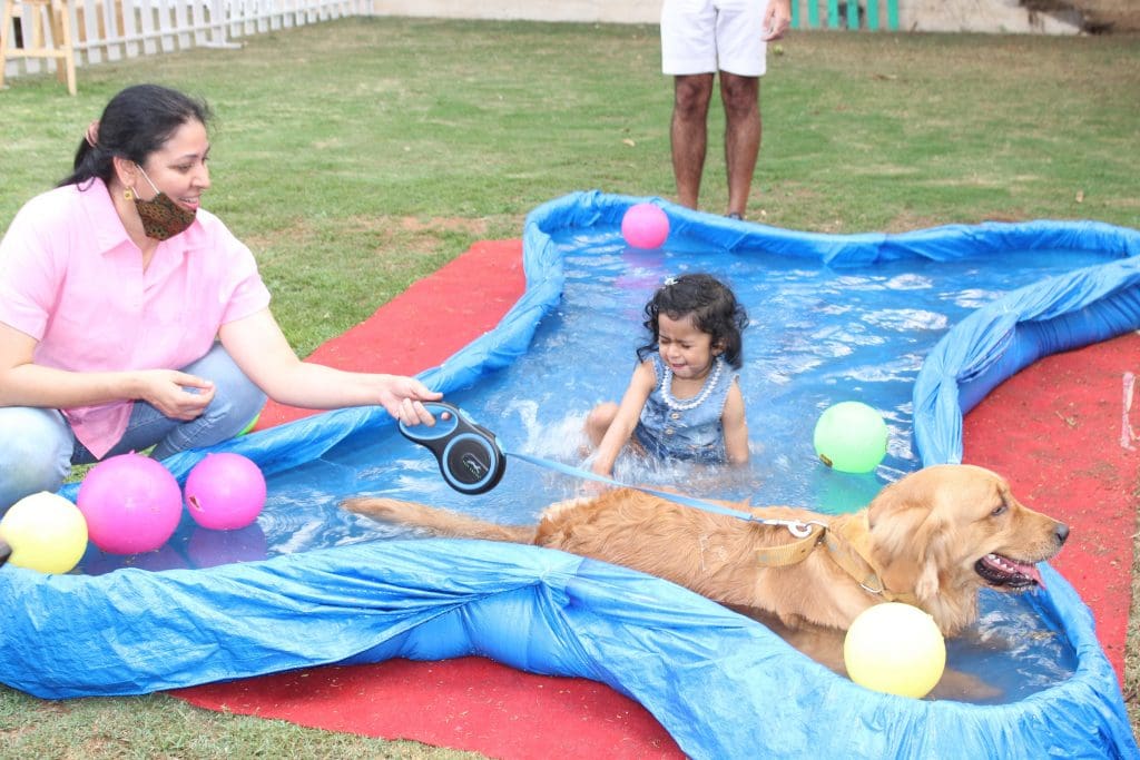 IMG 4580 Novotel Hyderabad Airport organizes “The Paw Walk”- a unique initiative