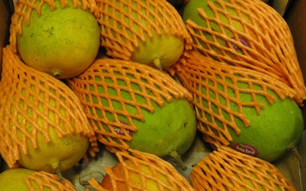 Rich and sweet mangoes of Maharashtra Today’s Traveller Travel