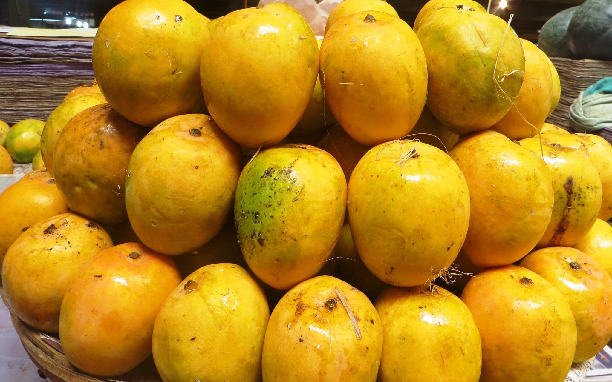 Rich And Sweet Mangoes Of Maharashtra Today s Traveller Travel rich-and-sweet-mangoes-of-maharashtra-today-s-traveller-travel
