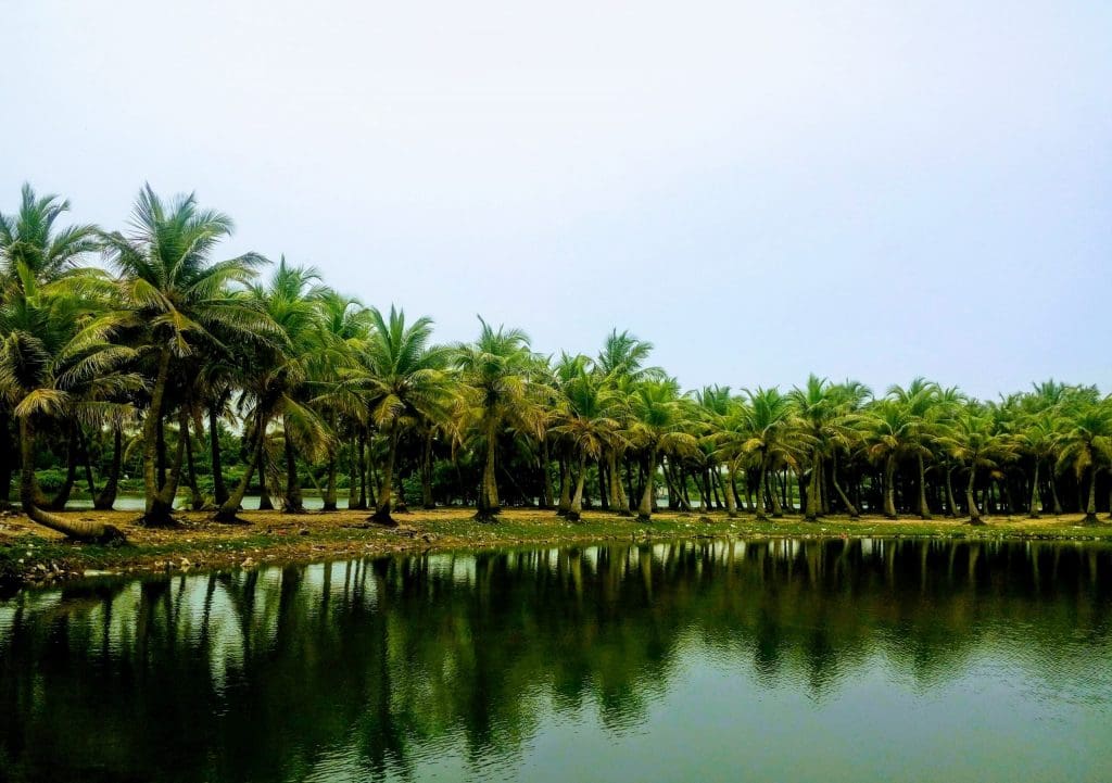 Pondicherry: The French-Era Charm