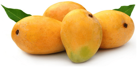 mangoes of maharashtra, fruit, favourite fruit mango, varieties of mango