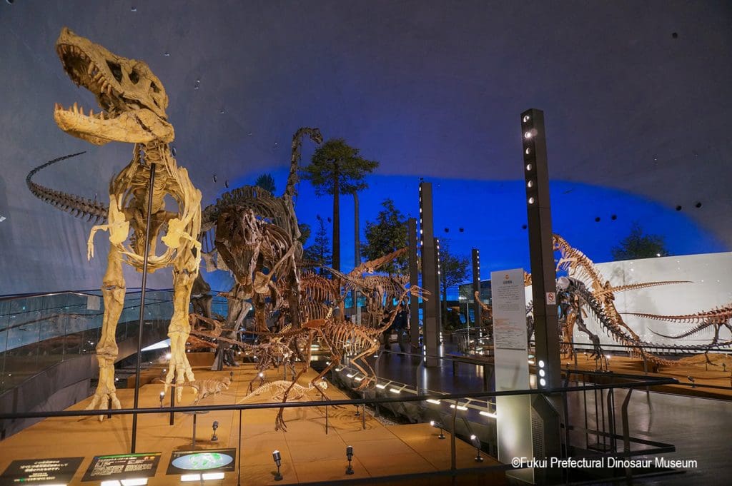 Japan The Fukui Prefectural Dinosaur Museum 