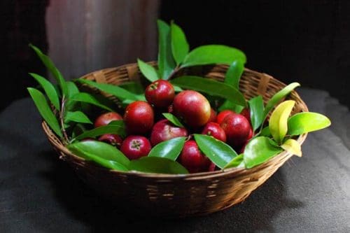 Kokum 5 delicious fruits of Maharashtra that are a must-taste for visitors