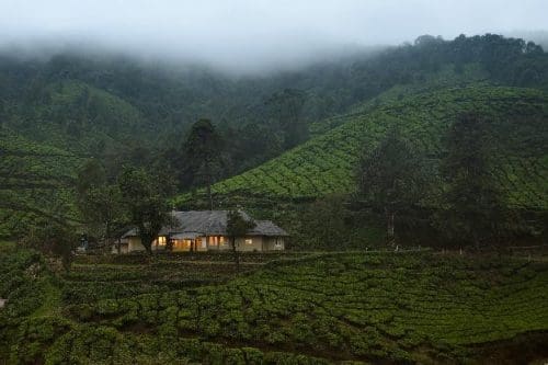 Munnar Tea Estate Bungalows