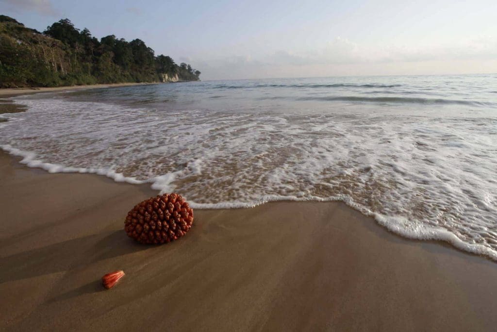 Baludera Beach, Baratang (Andaman and Nicobar Islands) - one of the lesser-explored beaches in India