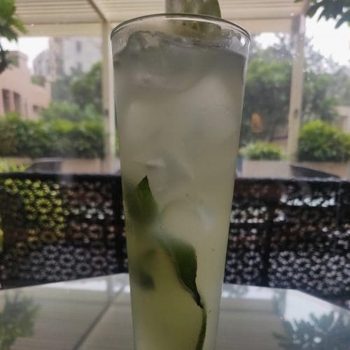 Coconut Basil Twister edited scaled Favourite Summer Cooler: Radisson Blu Plaza Delhi