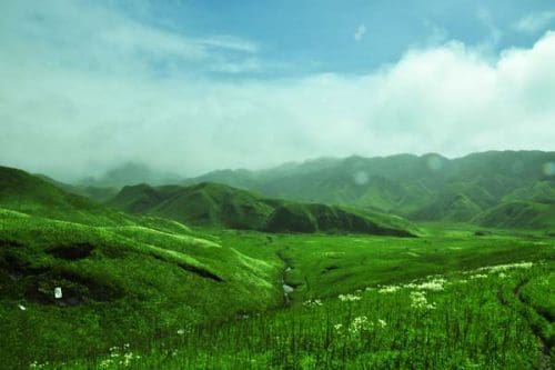   Places to visit in Manipur - Dzukou Valley