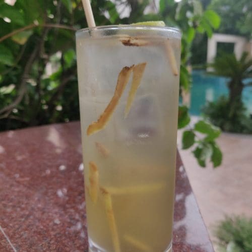 Favourite Summer Cooler: Radisson Blu Plaza Delhi 1 Summer Cooler