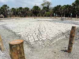 Mud Volcano