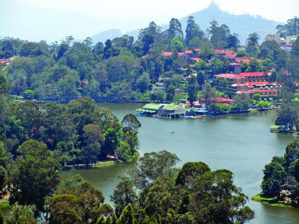 Forests of Kodaikanal