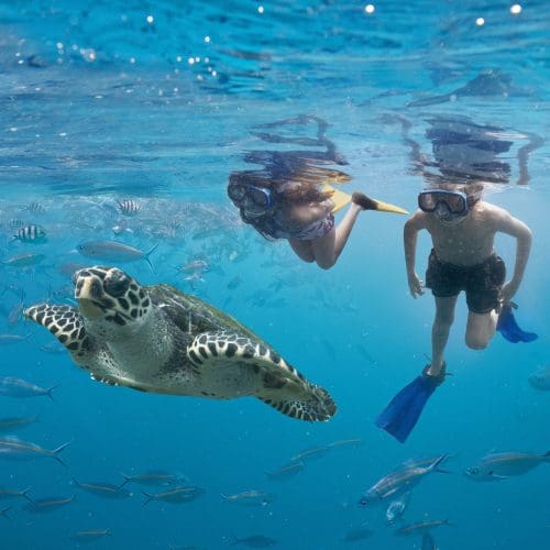  Girl and boy snorkelling and swimming with fish. (Image Credit: Tourism Fiji)