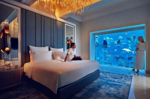 Adventure bucket list at Atlantis, The Palm