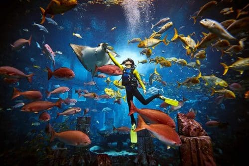 Adventure bucket list at Atlantis, The Palm