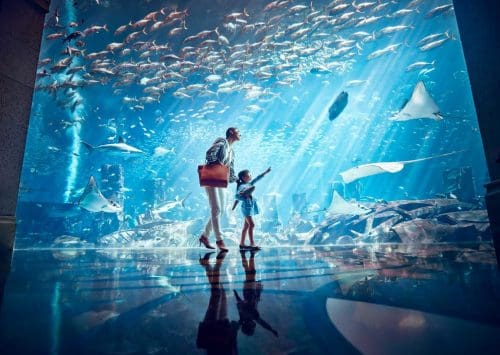 Adventure bucket list at Atlantis, The Palm