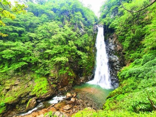  10 places to chill in Goa!  Netravali Wildlife Sanctuary