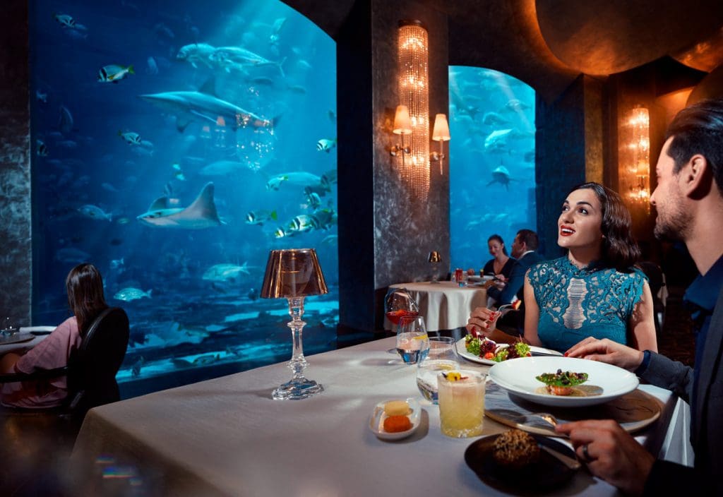 Adventure bucket list at Atlantis, The Palm