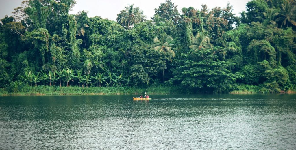 Chaliyar River Paddle