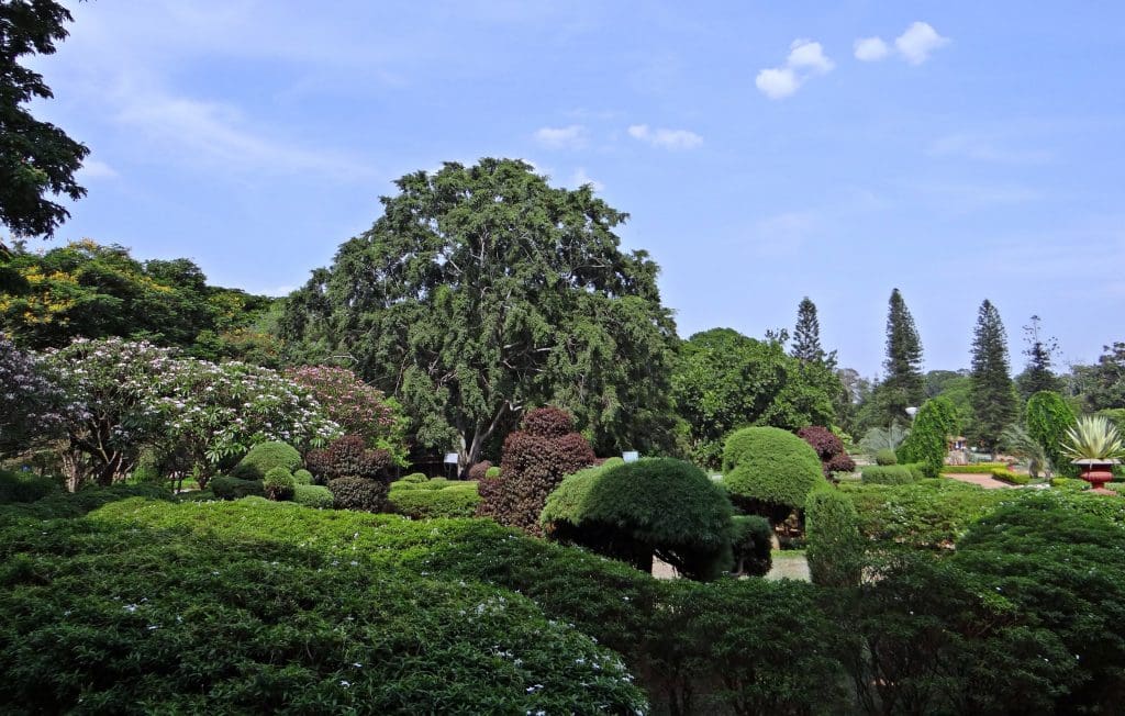  Romantic activities for couples - Botanical Garden Lal Bagh 
