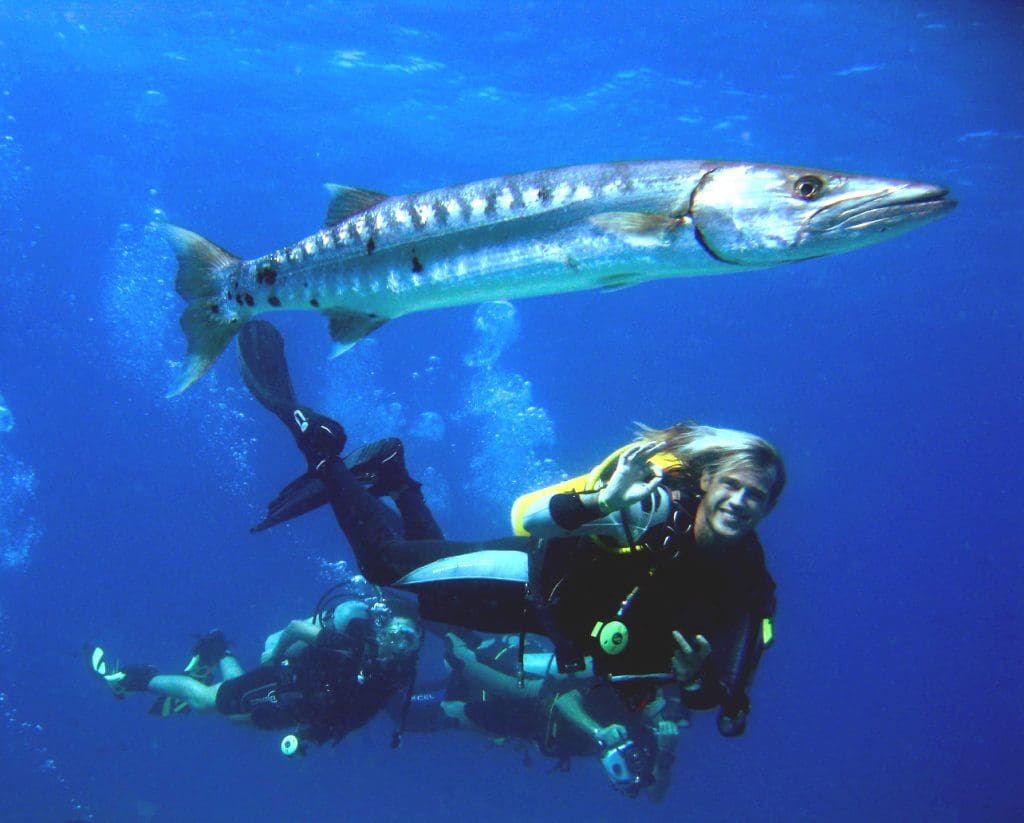 underwater-in-maldives