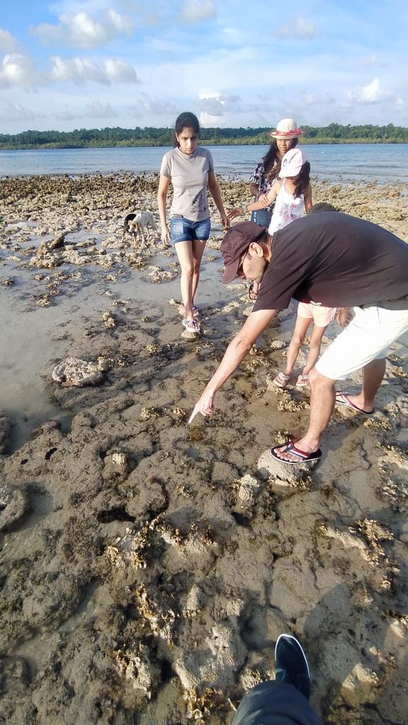 Andaman Guests-on-a-Marine-trail