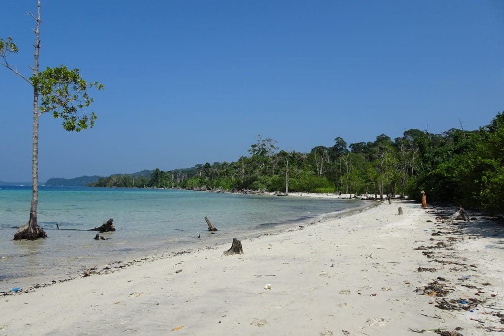 honeymoon destinations Andamans Sea Elephant Beach Beach Havelock Islands