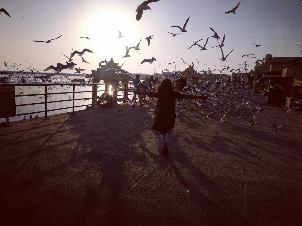 10 Romantic locations in India for dreamy couples 9 shree vallabh mONBzox1Qs unsplash 10 Romantic locations in India for dreamy couples