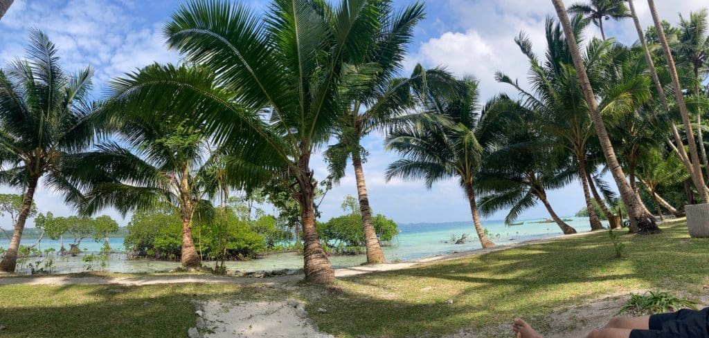 My journey to Andaman - a paradise on earth 5 A journey to Andaman is one of discovery