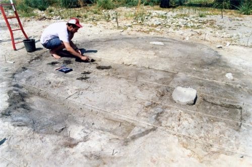 Ice Age remains near Sea of Galilee