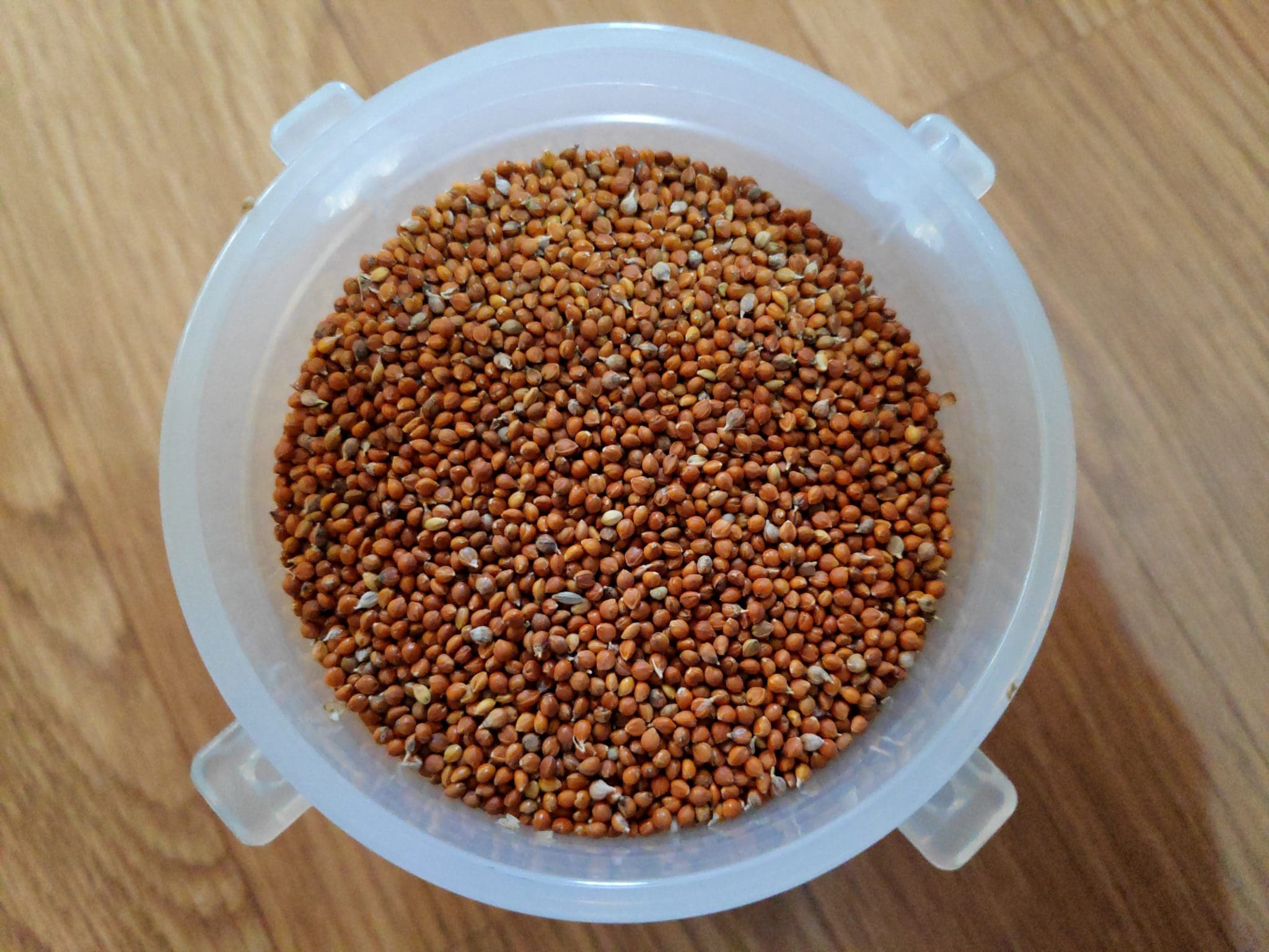 Best dish Foxtails millet sundal for Navratri by Exec Chef Yashwant