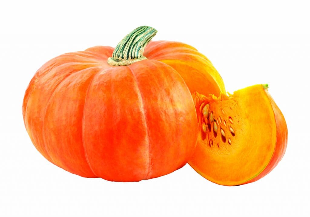 pumpkin