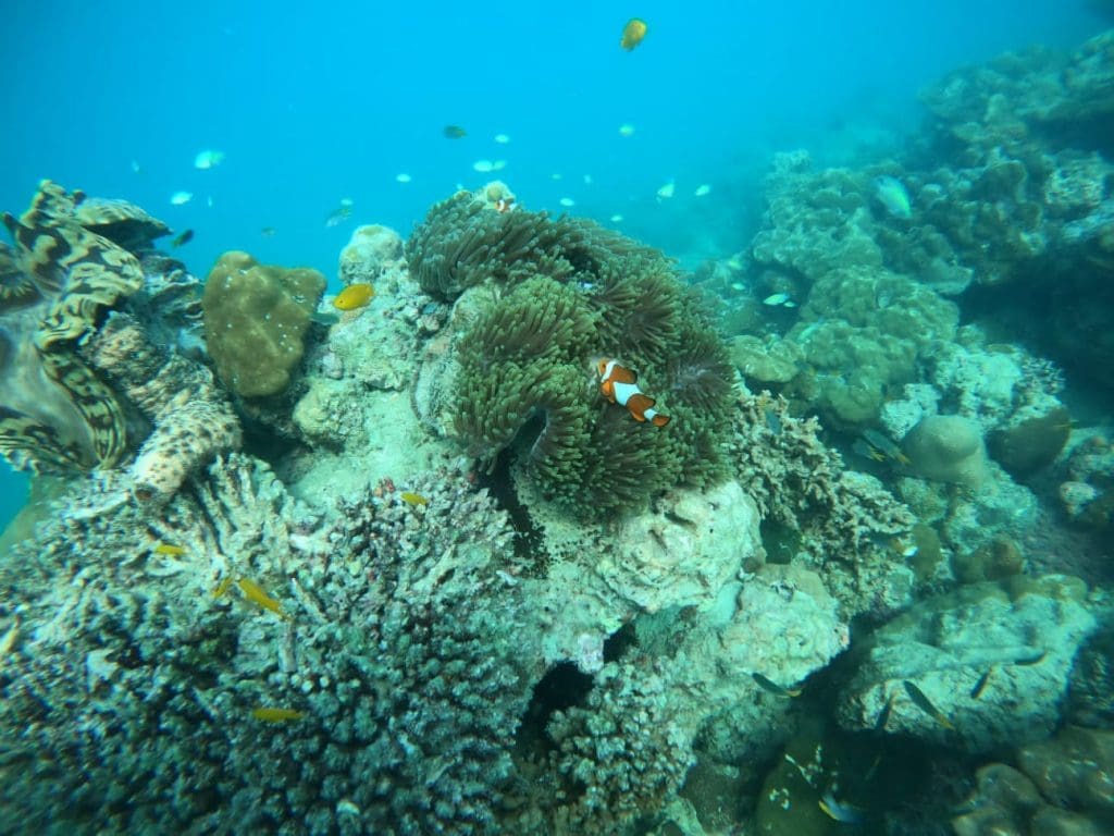 My journey to Andaman - a paradise on earth 7 A journey to Andaman is one of discovery