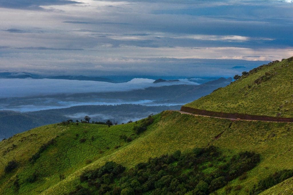 Nilgiris in the Western Ghats