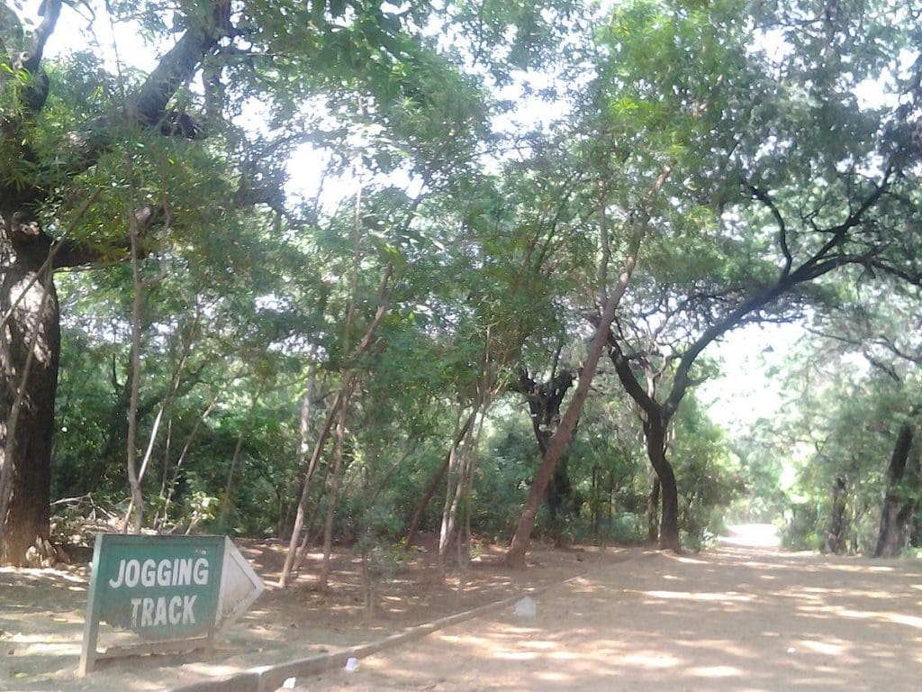  Jahapana Forest 