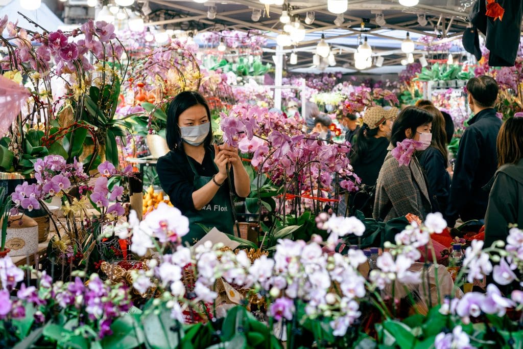 Chinese New Year 2022 City Ambience Flower Market 02 The Year of Tiger 2022 : How to celebrate the Lunar New Year Hong Kong style