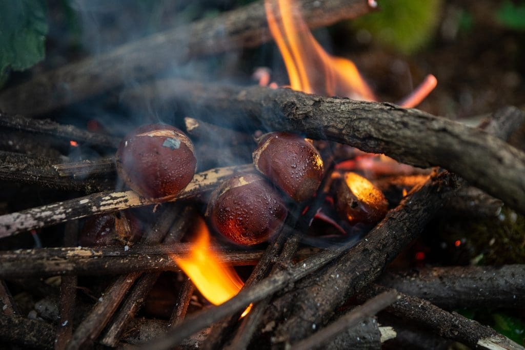 Portuguese Mediterranean Diet Roasted Chestnut Delicious