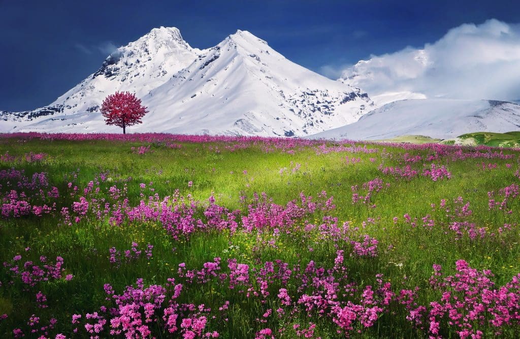  Top 10 mountain holiday destinations -  Alps 