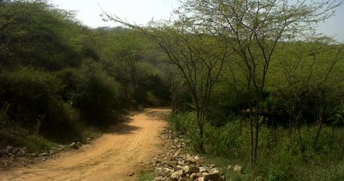 Sanjay Van 