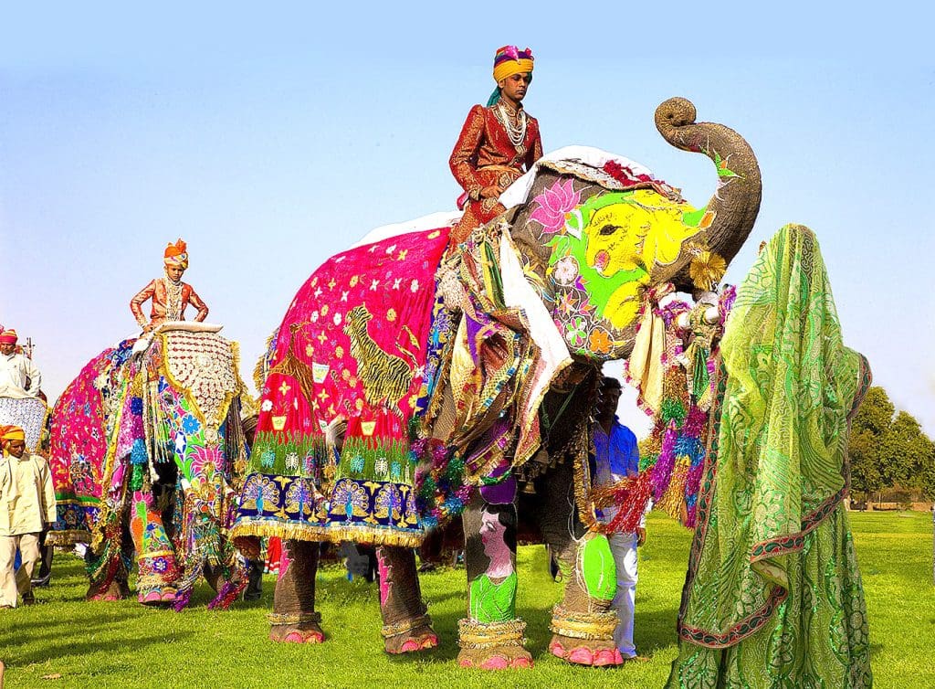Vibrant Festivals and Fairs in March in India - Elephant Festival