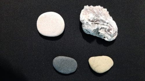   Shells and pebbles as memory   