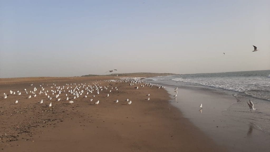 Somnath Sagar Darshan - beach near the Somnath temple