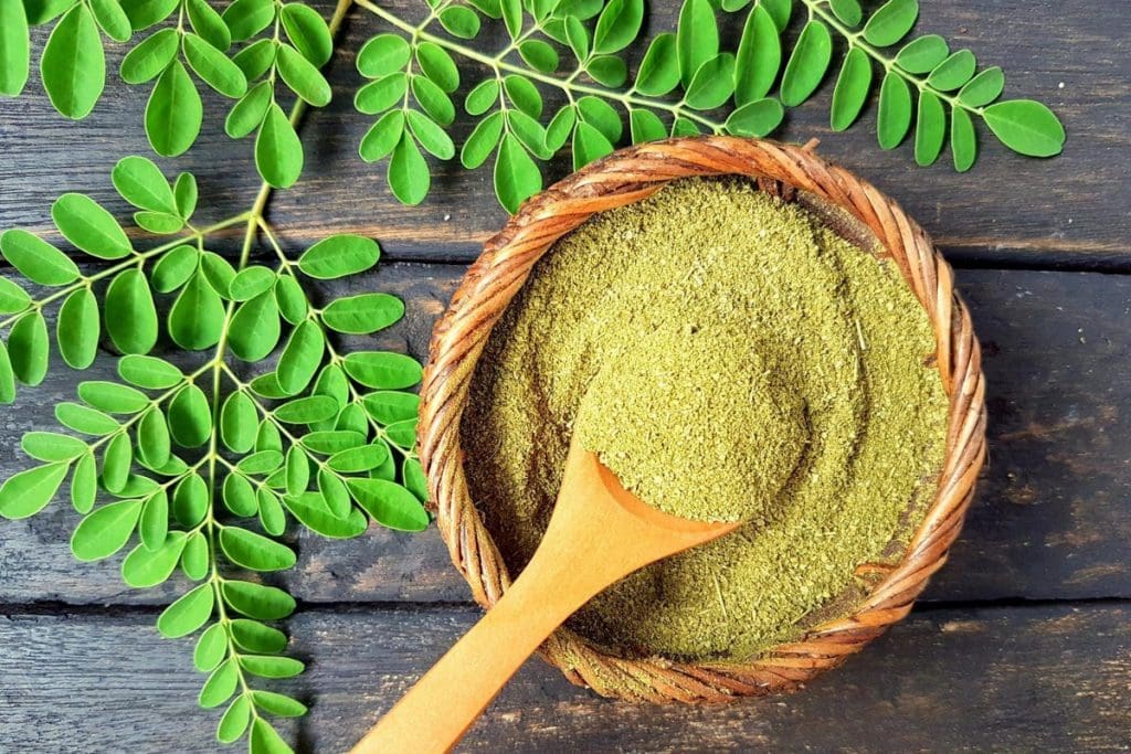  Moringa - Food Trends for 2022 