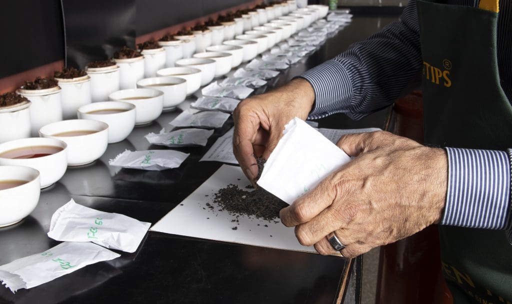 The fine art of tea tasting 