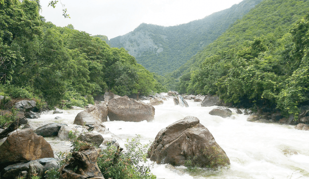  Silent Valley National Park 