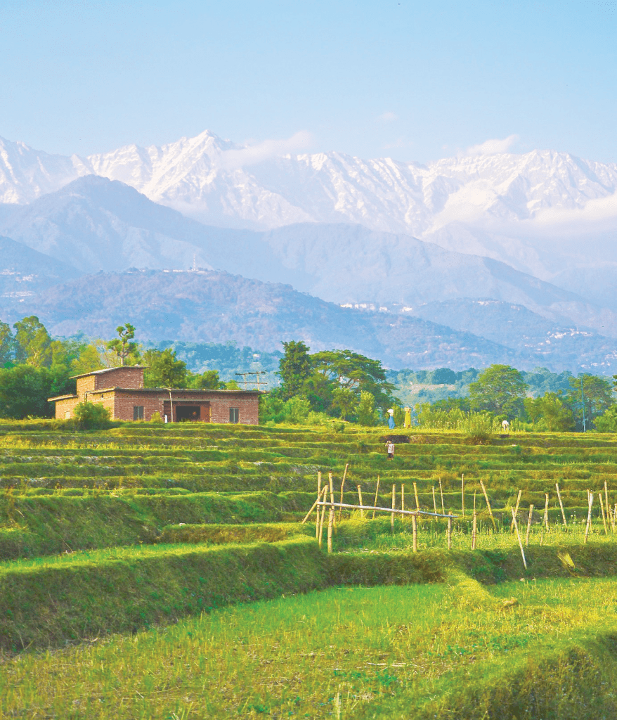  Kangra Valley 